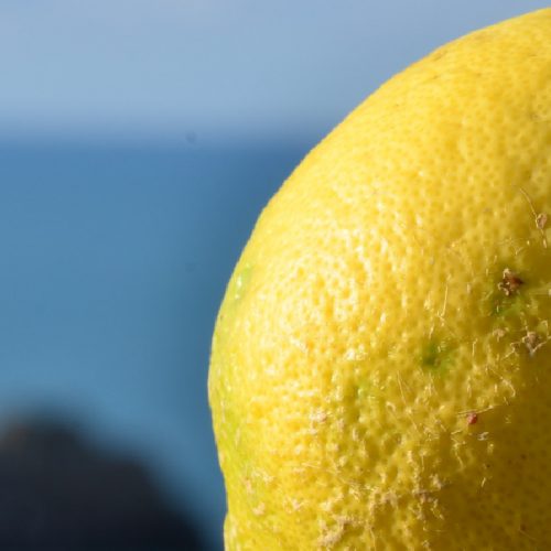 Il limone amalfitano