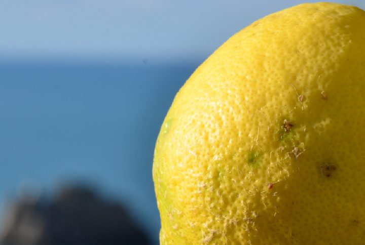 The Amalfi lemon